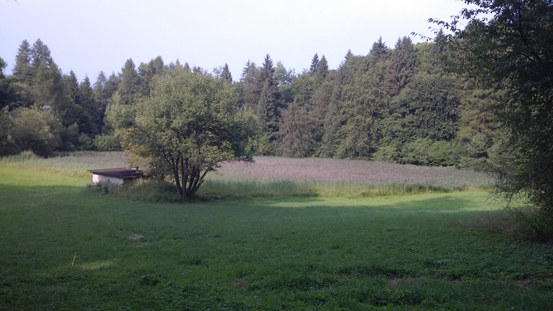 IMG_20130823_170655.001